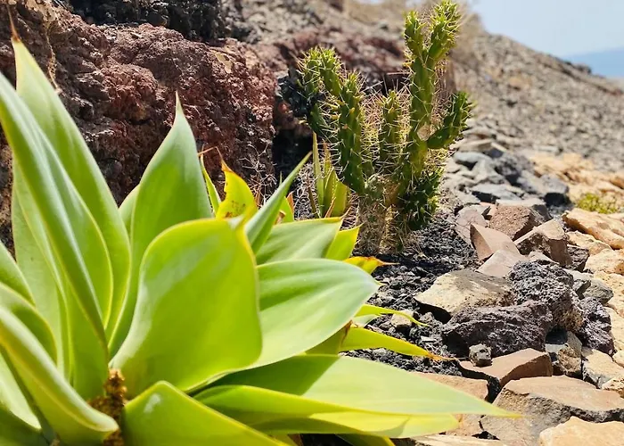 Appartement 8 Islas Las Playas